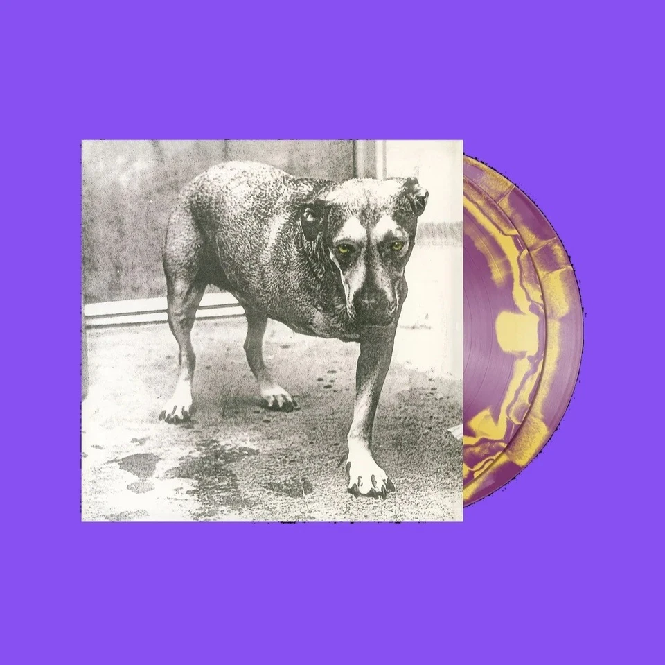 Alice in Chains Purple & Yellow Swirl Self-Titled D2C 30th Anniversary Vinyl LP - Image 1 of 1
