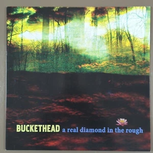 BUCKETHEAD ein echter Diamant im Rohzustand. Stan Diamond gewidmet. SELTENES VINYL. - Bild 1 von 20
