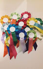  Rosettes Pack Of 20 Blank Rosettes Mixed Colours Lowest Priced On Ebay!!!!