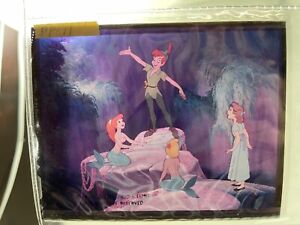 Rare Disney Peter Pan movie Negative/cel 12,5x10cm