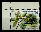 Flora. Invasive Pflanzen. Eschen-Ahorn. 1W. Eckrand(4). Weißrußland 2023