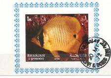 Q6484 - SHARJAH - BLOCCO FOGLIETTO USATO PESCI TROPICALI 1 RL - VEDI FOTO