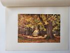 Old Antique Vintage Colour Surrey Print 1912 Beeches In Autumn Near Godalming