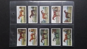 W. F. FAULKNER 1924, PROMINENT RACEHORSES OF THE PRESENT DAY. 2ND SERIES - Picture 1 of 6