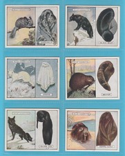 ANIMALS - WILLS -  SCARCE  SET  OF L 25  ANIMALS  &  THEIR  FURS  CARDS  -  1929