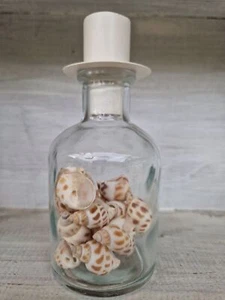 Kerzenhalter Vase Maritim mit Muscheln Glas Metall D6xH13cm - Bild 1 von 3