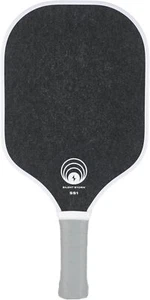 OWL Sport Silent Storm Quiet Pickleball Paddle, USAP Approved Power Core (Black) - Picture 1 of 4