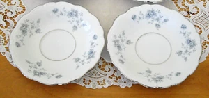 Johann Haviland Bavaria Germany 6" Saucers Blue Roses ~ Set of 2 ~ - Picture 1 of 5