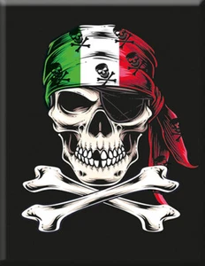 Emblema Vespa Cascata Adesivo Logo Pirata - Foto 1 di 1