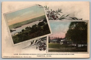 Webster MA~LakeViews~Violets~Bates Cove~Cottages~c1910 Handcolored Albertype - Picture 1 of 2