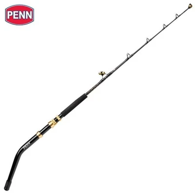Canna da pesca PENN Big Game SQUALL II Trolling 1,68 m/60-130 libbre - Immagine 1 di 4