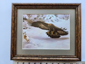 Guy Coheleach HAREE MOMENT 8x10 framed 3.0 452aa - Bild 1 von 7