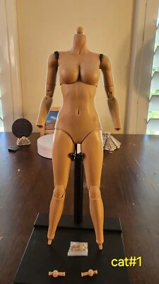 Hot Toys Selina Kyle 猫女 Mms188 身体 — 第 1/4 张图片