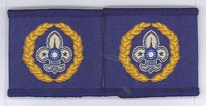 PARCHE CHARRETERAS SCOUTS OF CHINA (TAIWÁN) - Instructor Scout Rango Insignia - Imagen 1 de 1