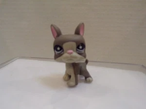 Littlest Pet Shop ~ #958 ~ Boston Terrier ~ Welpe Hund ~ grau ~ lila Sternenaugen - Bild 1 von 3