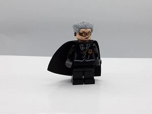 Lego Minifigure Madame Hooch hp106 Harry Potter - Picture 1 of 7