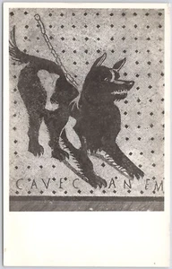 Mosaico de canem de cueva, cuidado con el perro, Museo Nacional de Nápoles, Pompeya, Italia RPPC - Imagen 1 de 2