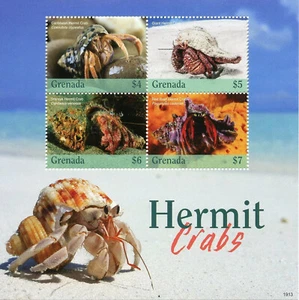 Grenada 2019 MNH Marine Animals Stamps Hermit Crabs Seashells 4v M/S - Picture 1 of 1
