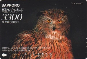 Carte JAPON - ANIMAL OISEAU HIBOU GRAND DUC DE BLAKISTON - OWL BIRD JAPAN card - Foto 1 di 1