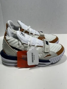 Nike LeBron XVI Air Trainer Medicine Ball sz 5 CD7089 100 Men's Display MINT - Picture 1 of 9