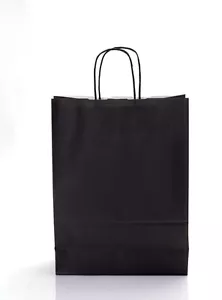 Coloured Paper Bag Twist Handle Party Gift Carrier / Bags With Handles - Small - Picture 1 of 9