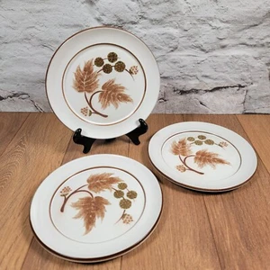 3 Denby Cotswold Eichel Design Beilagenteller 20 cm/8" - Bild 1 von 5