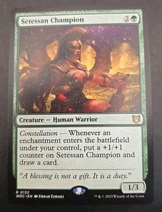 Setessan Champion Commander: Wilds of Eldraine MTG Regular Near Mint  - Bild 1 von 3
