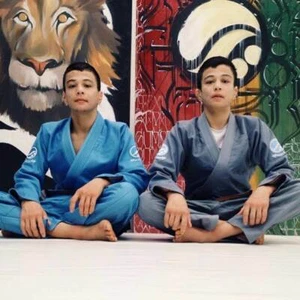 Shoyoroll Blue Skies A00F Batch 34 ***Barely Used*** - Picture 1 of 10