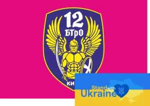 BANDERA BANDERA GUERRA UCRANIA 2022 - Batallón 12 Kiev Kiev (#2) - Imagen 1 de 1