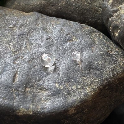 Body Jewelry Replacement Parts - 10pk UV Reactive Threaded Balls - Image 1 of 2