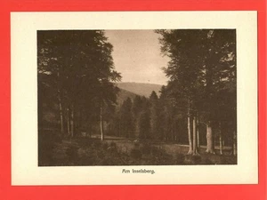 Am Inselsberg * Paul Wolff (1923) – [THÜ-10] - Bild 1 von 1