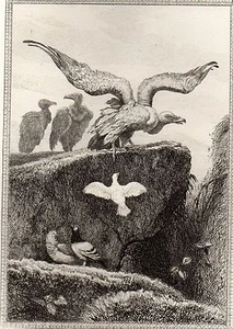 EAU FORTE / Fables de la Fontaine 1883 / LES VAUTOURS ET LES PIGEONS - Imagen 1 de 1