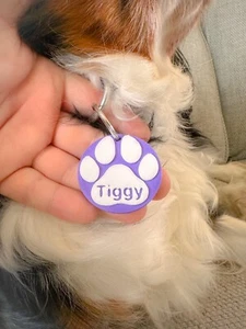 Electronic Personalised Dog Identity ID Collar Tag - 3D printed Contactless Chip - Picture 1 of 7
