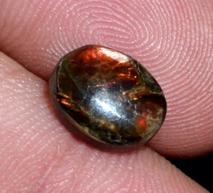Piedra preciosa de ammolita natural rara cabujón 1,65 quilates piedra preciosa de ammolita suelta - Imagen 1 de 5