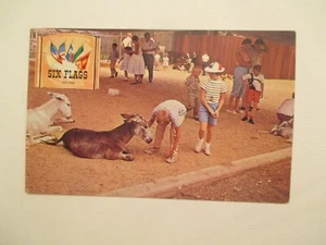 Texas Postcard Animal Kingdon Six Flags over Texas TX - Picture 1 of 2