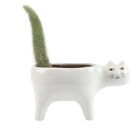 Home Decoration Cat Tail Flower Pot Ceramics Flowerpot Cute Cat-Shaped Pot