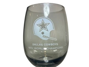Dallas Cowboys Glass Cup Vtg 1972 World Champions Barware Smoked NFL 4.5" tall - Picture 1 of 7