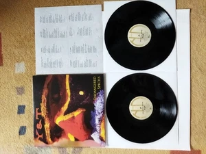 Y & T  - Endangered species    LP    1998/2022   NIGHT 371   rare press - Picture 1 of 2
