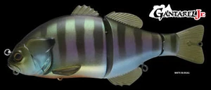 Jackall GANTAREL JR. Hard Swim Baits (JGANTJR-MB) Fishing - Picture 1 of 1