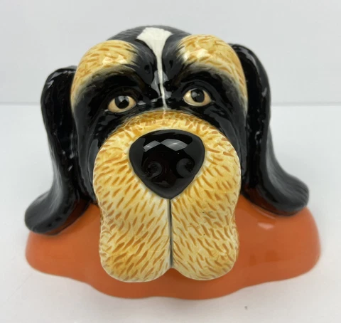 University of Tennessee Volunteers Mascot Smokey the Dog Ceramic Coin Bank Cover