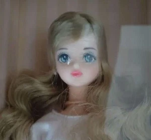 LICCA CASTLE Original Fashiondoll M5991 10,62 Zoll/27 cm Jenny Friend Sayaka 1/6 - Bild 1 von 1