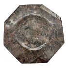Stone Fossil Ammonite Orthoceras Plate Seashell Polished Brown Octagon 7.5" (E)