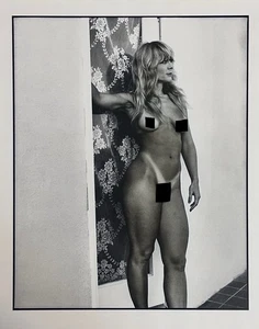 Adult Pin-Up Artist Poster 11X14: Classic Candid Nina Hartley (Catalog #4) - Picture 1 of 2
