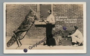 RPPC Heuschreckenübertreibung erzählt einem Whopper KS Conard Echtfoto Postkarte - Bild 1 von 2