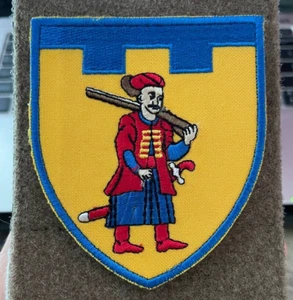 Ukrainian Army Morale Patch 110th Separate Brigade TrO Tactical Badge Hook - Picture 1 of 6