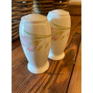 Japanese Porcelain Salt and Pepper Shakers Floral Made in Japan French Garden - Picture 1 of 3