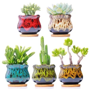 Cute Ceramic Succulent Garden Pots Planter with Drainage and Attached Saucer ... - Picture 1 of 8