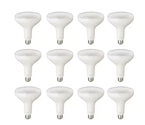 75-Watt Equivalent BR40 Dimmable LED Light Bulb Soft White (12-Pack) - Picture 1 of 14