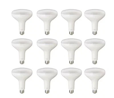 75-Watt Equivalent BR40 Dimmable LED Light Bulb Soft White (12-Pack) - Image 1 of 4