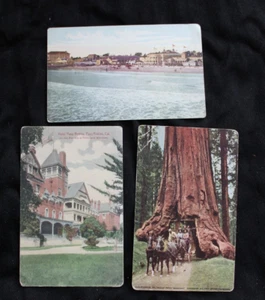 California Horse Redwood Tree Wawona Hotel Paso Robles Vintage Postcards - Picture 1 of 2